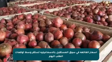 أسعار الفاكهة في سوق المستقبل بالإسماعيلية تستقر وسط توقعات الطلب اليوم